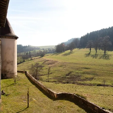 Chateau De Pramenoux 招待所 *